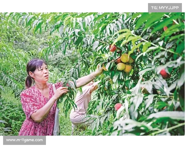 盐边县以赛事赋能共同富裕试验区建设，推动农文旅体融合